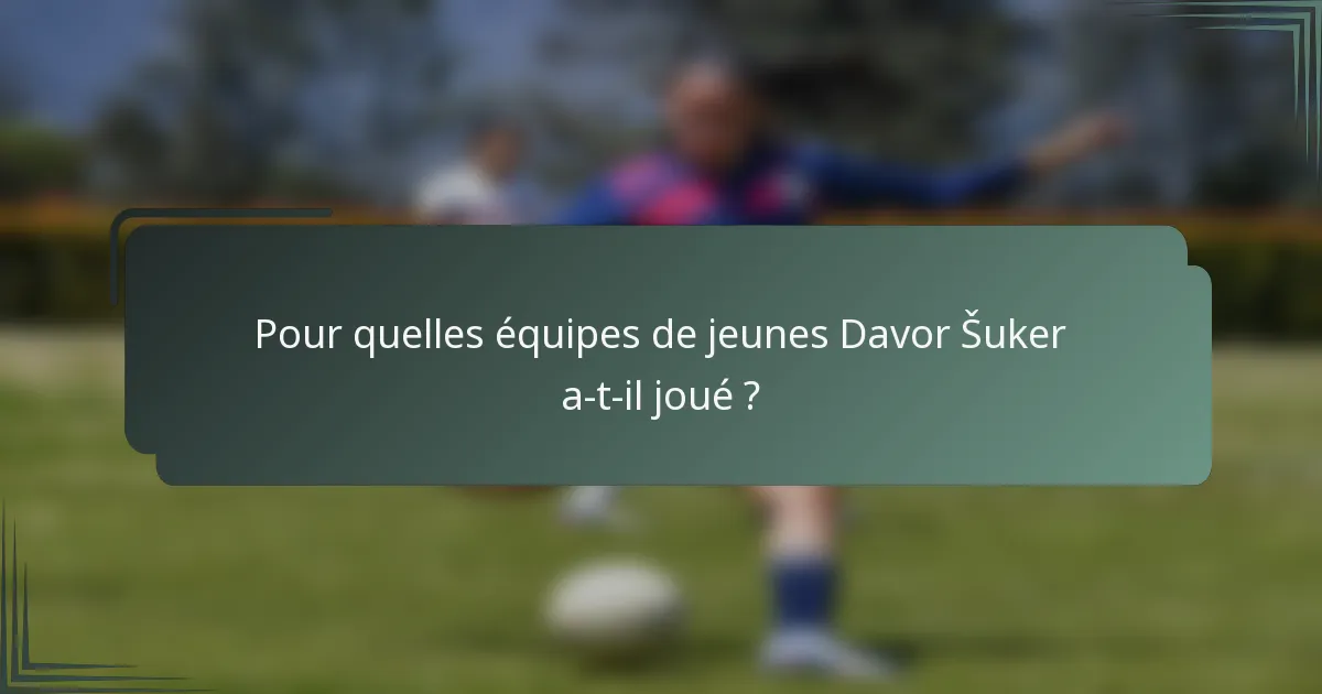 Pour quelles équipes de jeunes Davor Šuker a-t-il joué ?