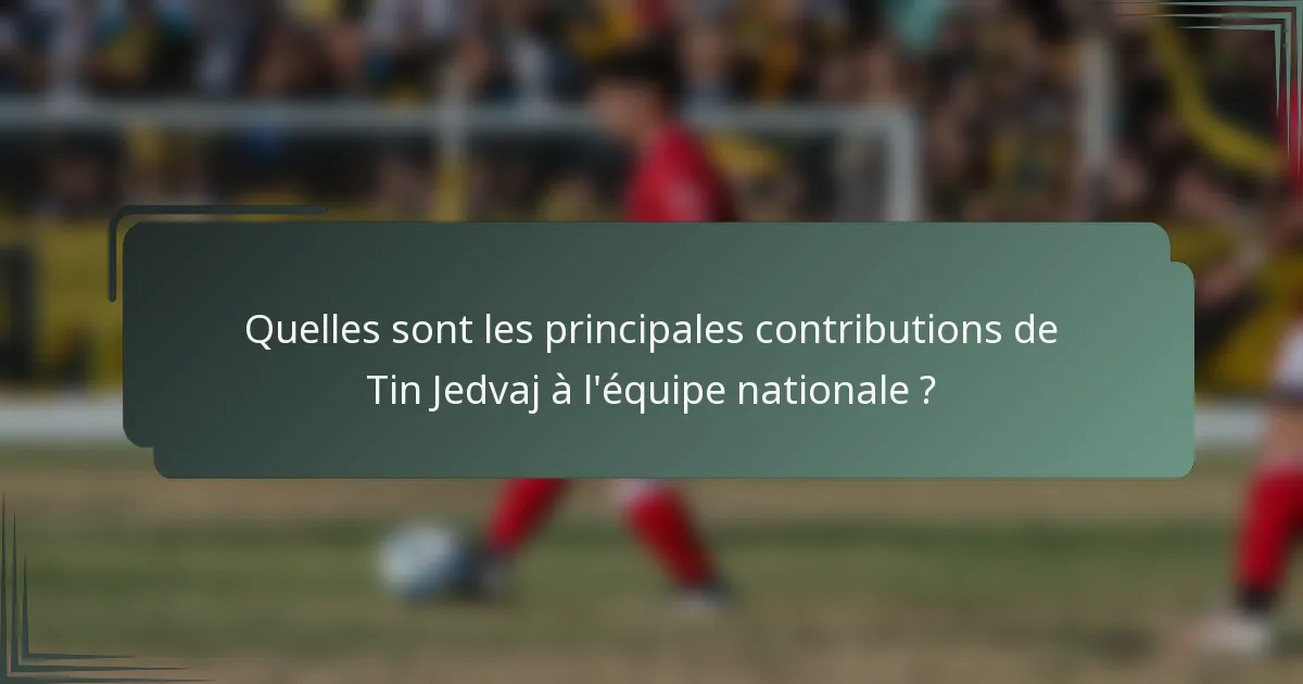 Quelles sont les principales contributions de Tin Jedvaj à l'équipe nationale ?
