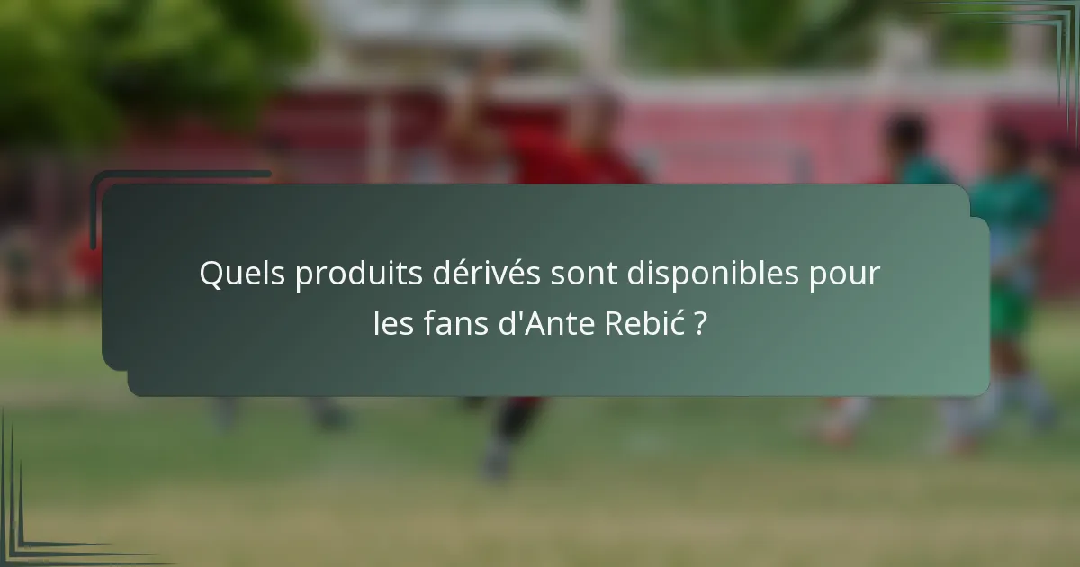 Quels produits dérivés sont disponibles pour les fans d'Ante Rebić ?